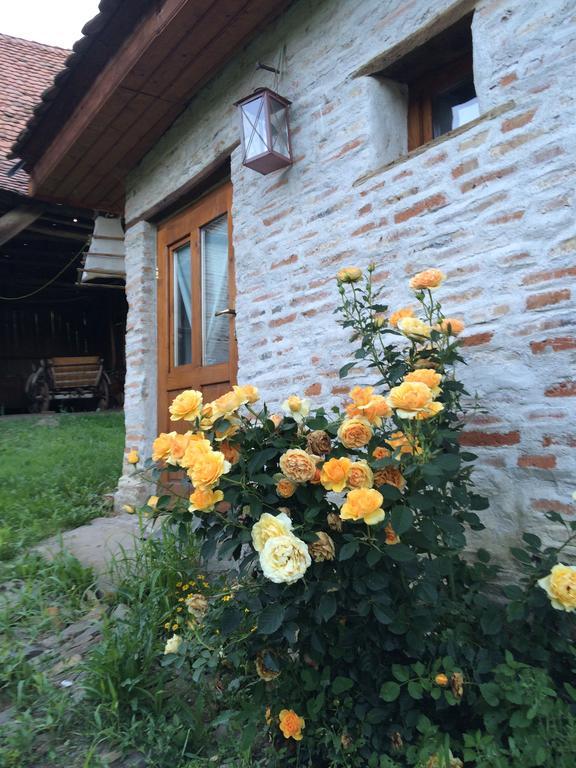 Dominic Boutique - Gardener'S Cottage Cloasterf Dış mekan fotoğraf